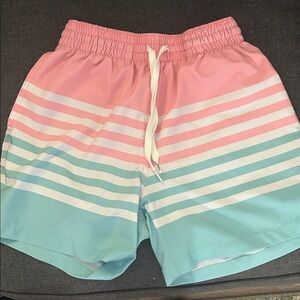 Chubbies Pink and Blue Striped Athletic Shorts